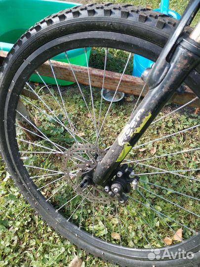 Хобби и отдых