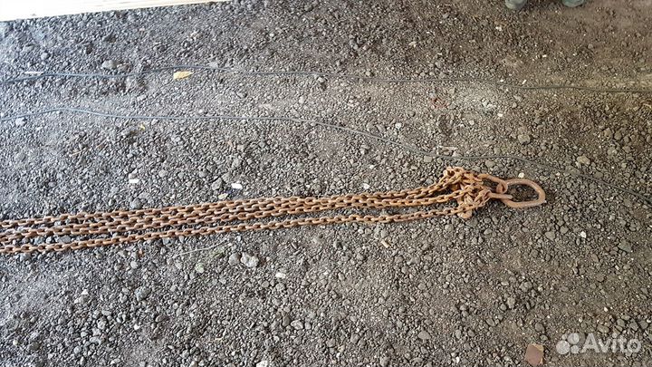 Паук чалка 2 метра