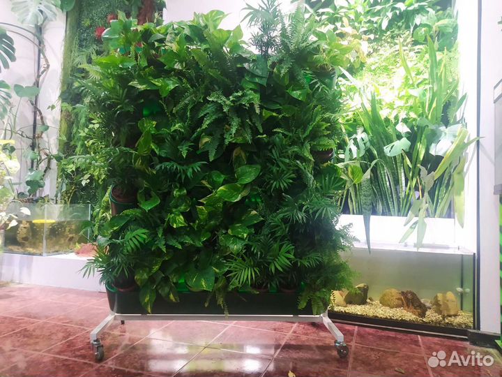 Фитомолуль вертикальное озеленение