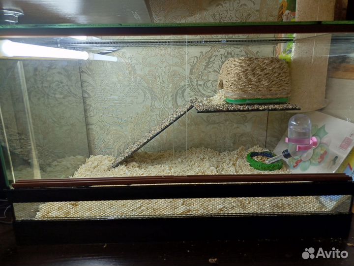 Террариум новый на заказ