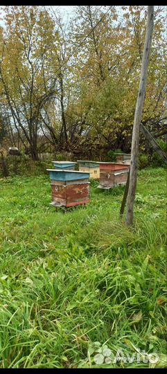 Ульи для пчёл