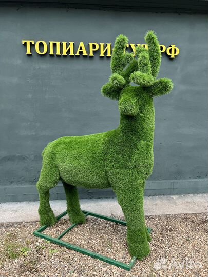 Топиари Топиарные фигуры Садовые фигуры