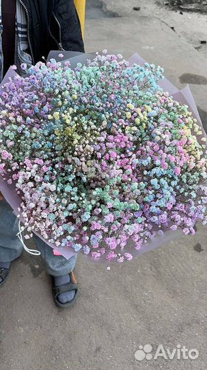 Гипсофила цветы с достакой