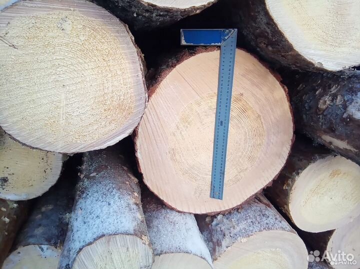 Кругляк отборный (ель)