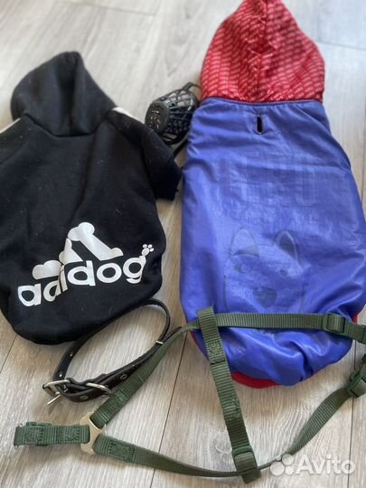 Одежда для бигля XL 3-6 месяцев