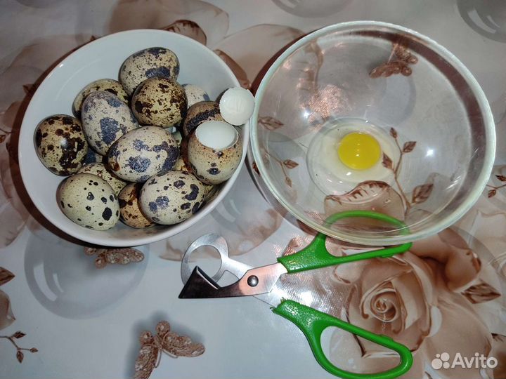 Ножницы для перепелиных яиц, яйцо