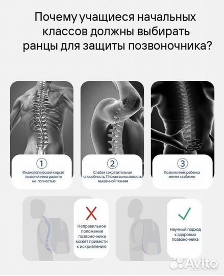 Ортопедический школьный ранец