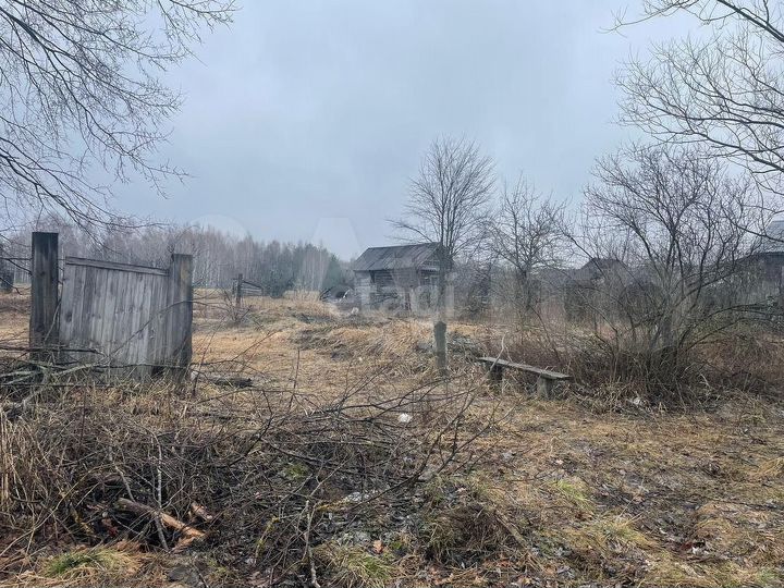 Участок 50,5 сот. (личное подсобное хозяйство (лпх))