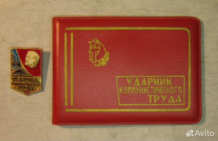 Удостоверение и значок