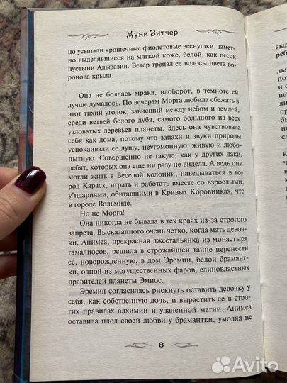 Муни Витчер «Морга волшебница ветра»