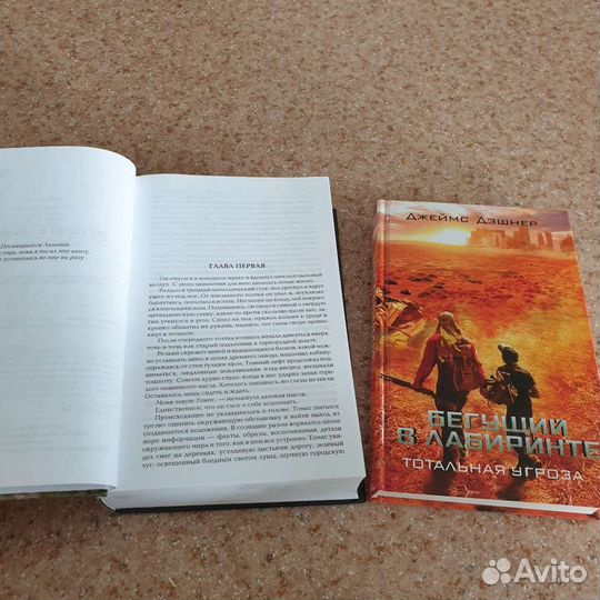 Серия книг Джеймса Дэшнера 