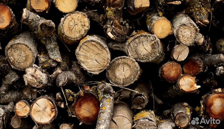 Дрова в область