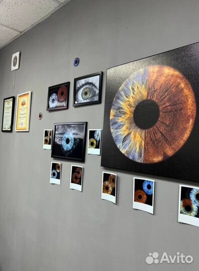 ScreenEyes прибыль в 1 месяц