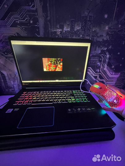 Acer predator helios 700 240 hz