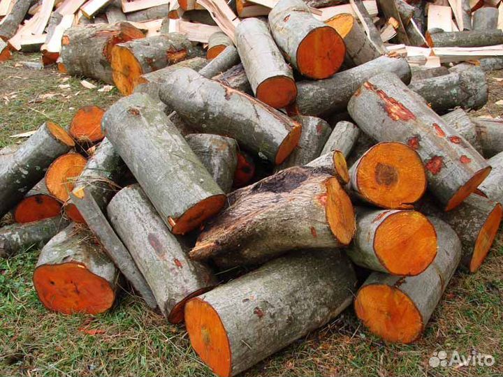 Дрова осиновые