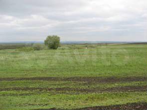 Участок 1,65 га (ИЖС)