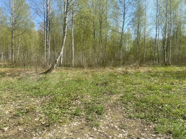 Участок 17,61 га (СНТ, ДНП)