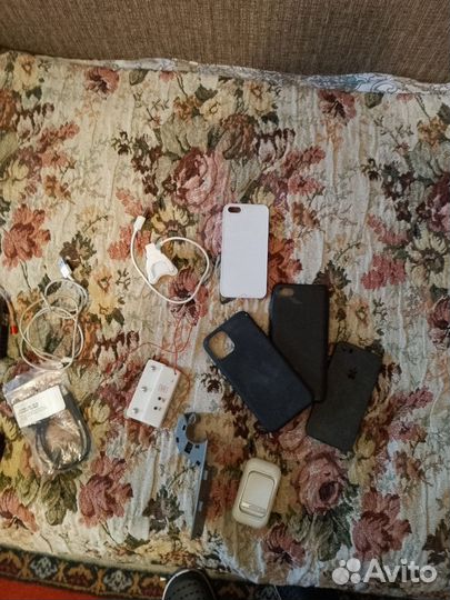 Отдам бесплатно