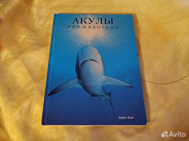 Акулы. Мир животных. Эндрю Клив