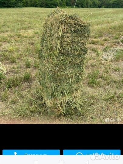 Сено в тюках