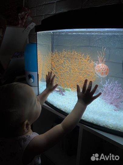 Аквариум 52 литра и разные принадлежности