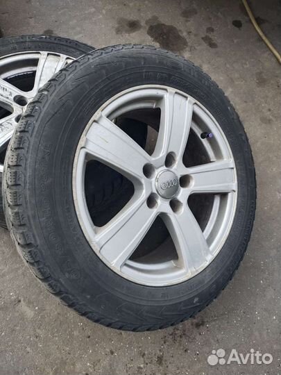 Nokian Tyres Hakkapeliitta 5 205/60 R16