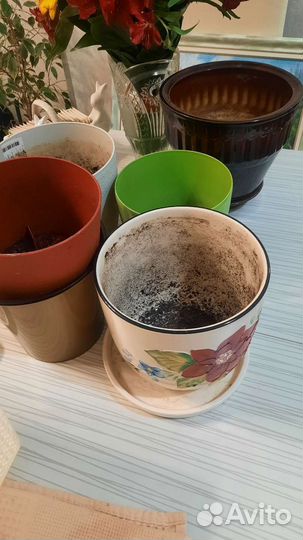 Кашпо горшок для цветов
