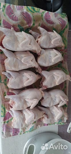 Мясо перепелов