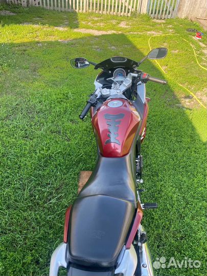Racer skyway 250