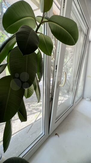 1-к. квартира, 28,8 м², 1/5 эт.