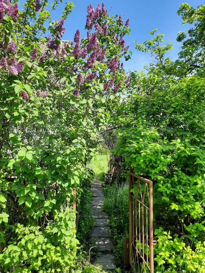 Дача 40 м² на участке 10 сот.