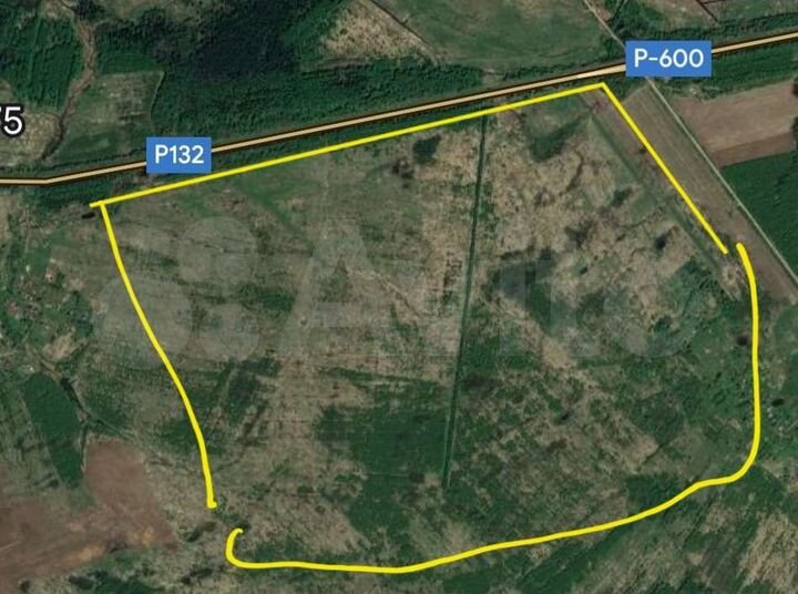 Участок 198 га (промназначения)