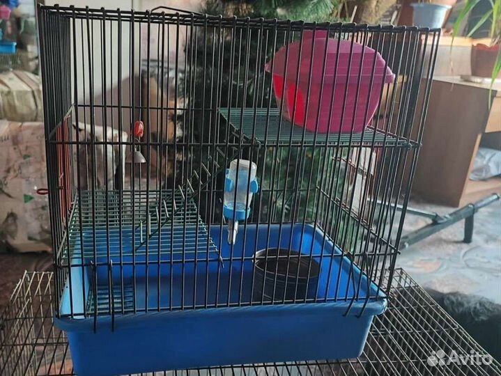 Клетка для грызунов маленькая, большая для птиц