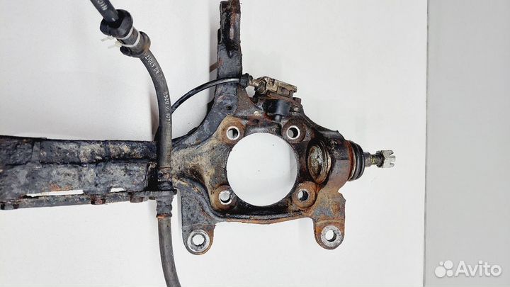 Цапфа передняя правая