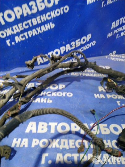 Жгут проводов эбу Газ Газель 3302 грузовой