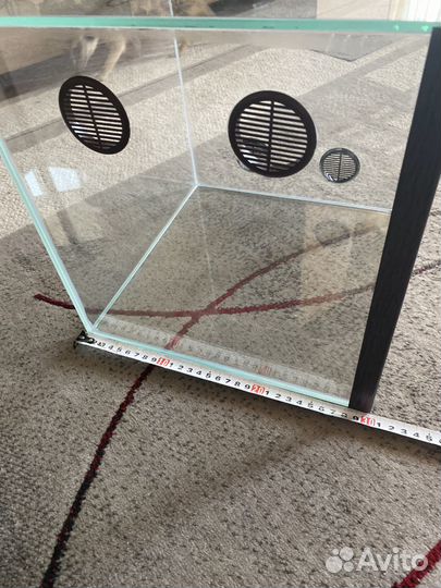 Террариум Новый