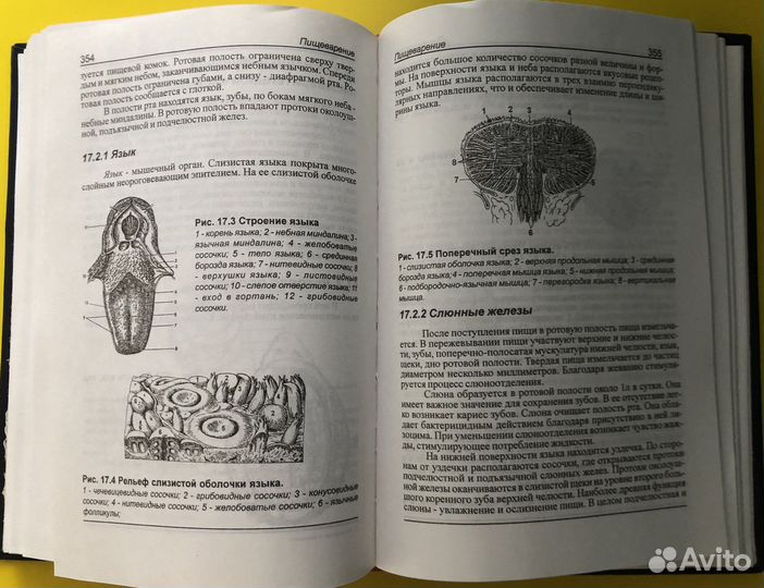 Э.В.Семенов Физиология и анатомия человека