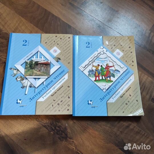 Книги, учебники Ефросинина 2 класс и 3 класс