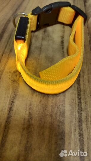 Светящийся ошейник