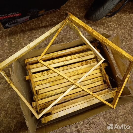 Сушь для пчёл, рамки с проволокой