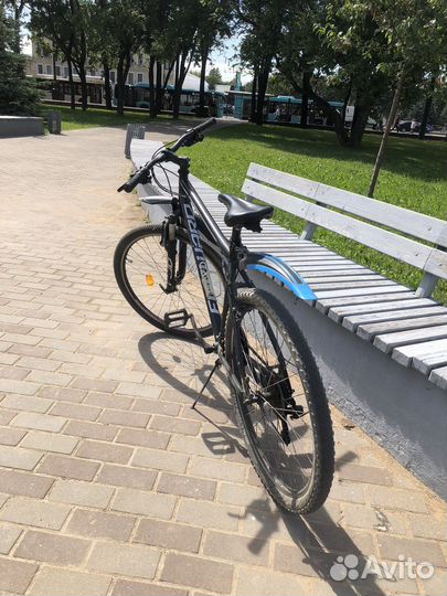 Аренда велосипеда 100р/час