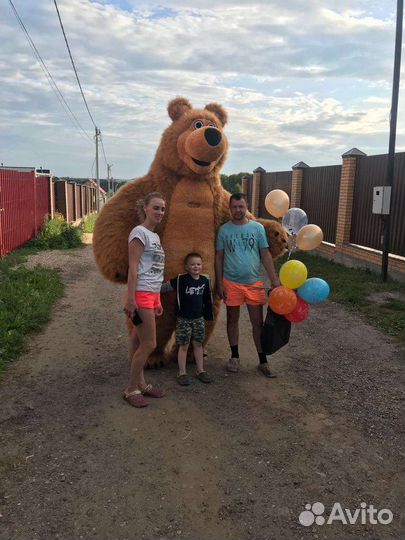 Поздравление, большие медведи, белый медведь