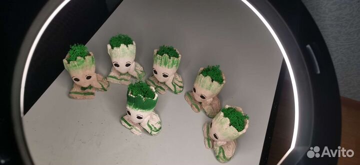 Кашпо, малыш грут