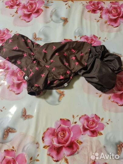 Дождевик для маленькой собаки