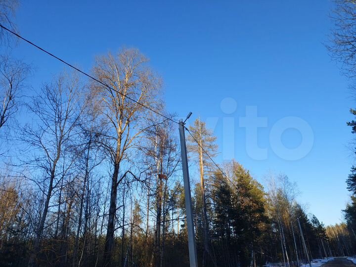 Участок 6 сот. (СНТ, ДНП)