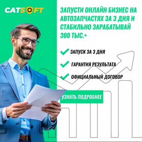 Онлайн бизнес на автозапчастях