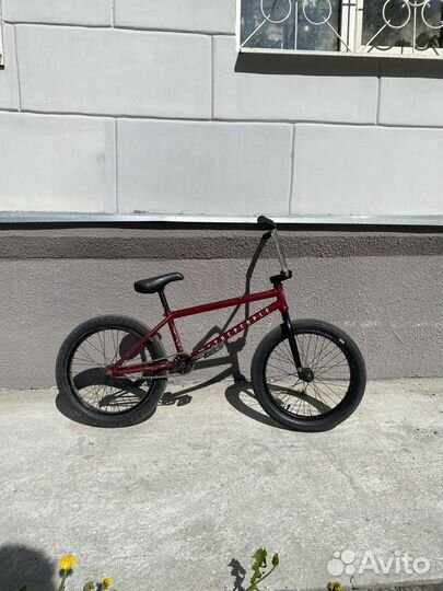 BMX WTP crysis