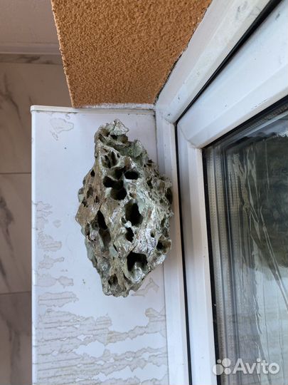 Камни в аквариум