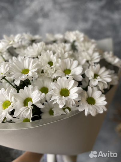 Букет гигант, ромашки, хризантемы