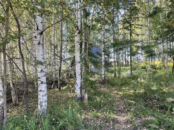 Дом 36 м² на участке 15 сот.